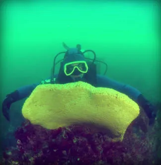 Diving Patagonia Austral Expeditions