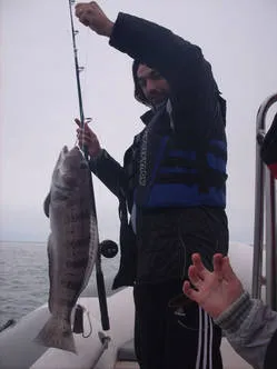 Diving Patagonia Austral Expeditions