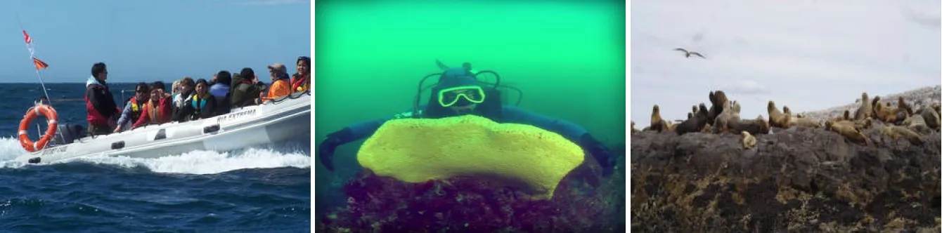 Diving Patagonia Austral Expeditions