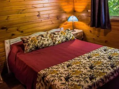 Cabañas Río Manso Tigre