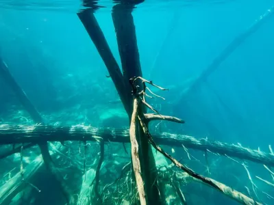 Lake Outings Traful Extremo