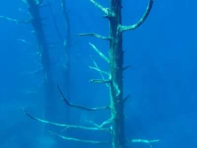 Lake Outings Traful Extremo