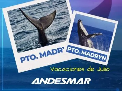 Land Transportation Andesmar Transporte