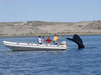 Andesmar Turismo - Leg. 8091 Agencias de viajes y turismo  en  Puerto Madryn