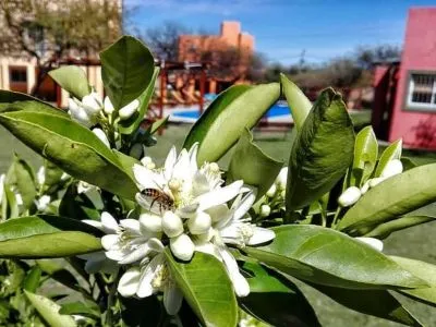 Cabañas 4 estrellas Tijuana