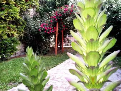 Alquiler temporario Lofts de la Patagonia