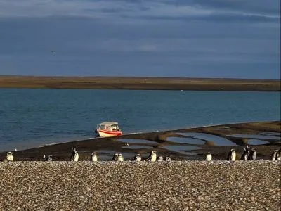 Paseos Marítimos Pinocho Excursiones 