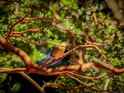 Alquiler de Autos Quetrihue Viajes y Turismo