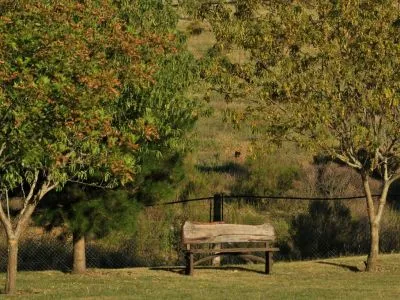 Cabañas 3 estrellas Valle de los Ciervos