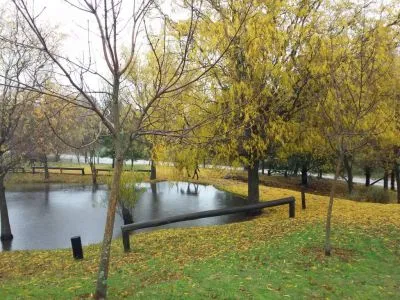 Cabañas 3 estrellas Valle de los Ciervos