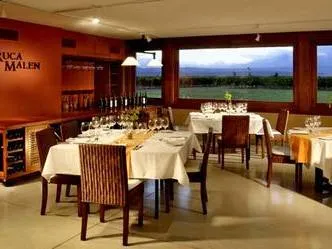 Ruca Malen Restaurantes en Bodegas  en  Mendoza