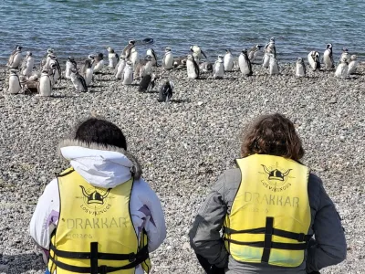 Paseos Marítimos Los Vikingos Turismo Aventura