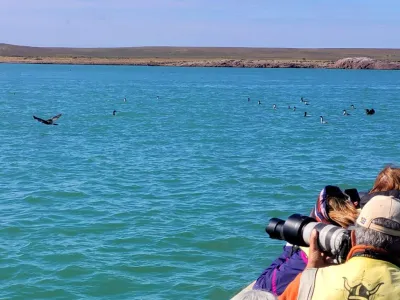 Paseos Marítimos Los Vikingos Turismo Aventura