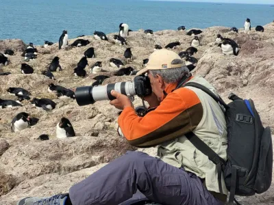 Paseos Marítimos Los Vikingos Turismo Aventura