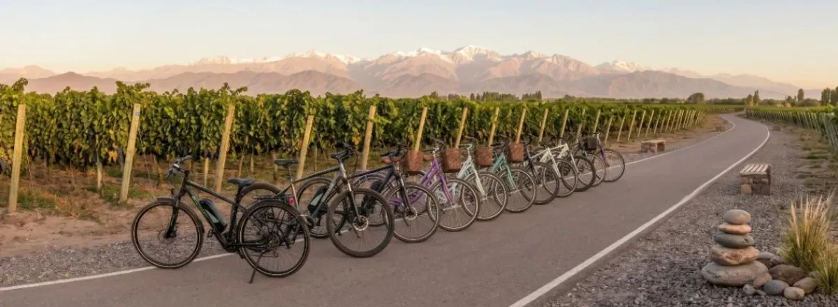 Alquiler de Bicicletas Maipú Bikes