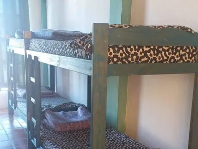 Hostels Buddha Hostel