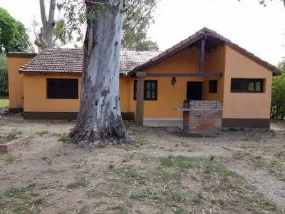 Cabañas Bungalows Los Eucalyptus