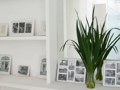 Departamentos Riva Urban Lofts