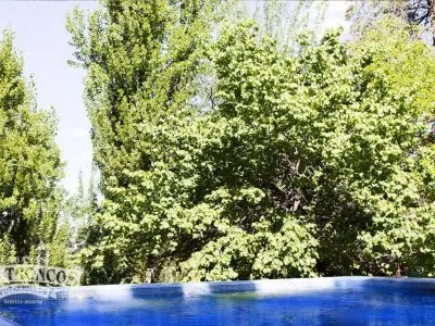 Cabañas Los Troncos