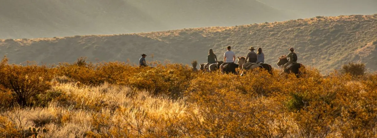 Horseback Riding Trips Rincón de los Oscuros
