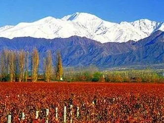 Landscape & Wine Agencias de viajes y turismo  en  Mendoza