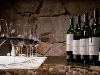 Bodega Séptima Wine Makers  in  Mendoza