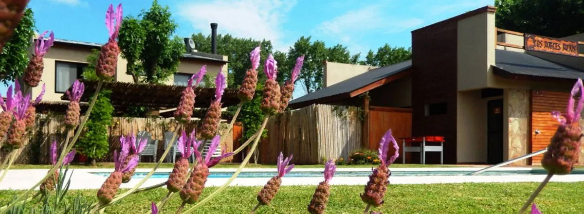 Cabins Los Robles Rojos cabañas