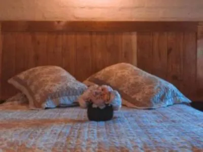 Alojamiento en Lago Meliquina (a 30 Km. de San Martín de los Andes) Hostería Meliquina