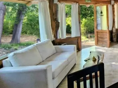 Cabins Los Renuevos Cabins