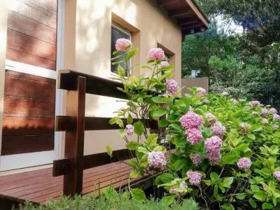 Cabañas Casas Aluen