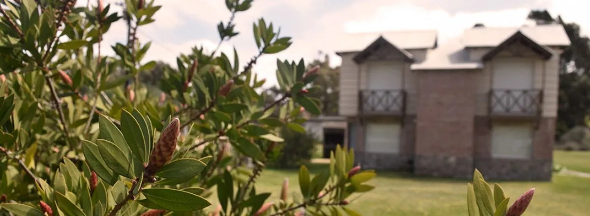 Cabins Camino al Puente
