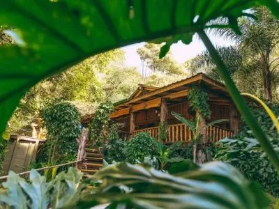 Tacuapí Lodge de Selva