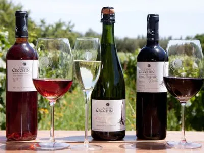 Bodega Cecchin Wine Makers  in  Mendoza