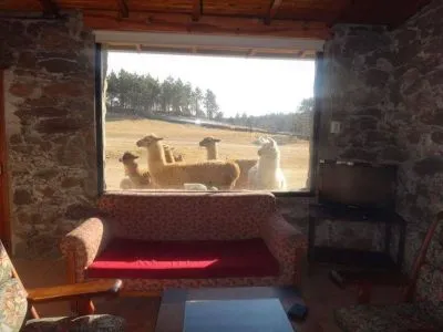 Cabins Los Vallecitos