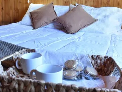 Cabañas 3 estrellas Cabañas Paso de los Andes