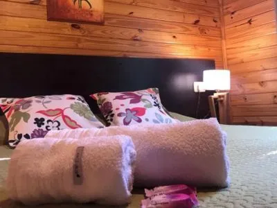 Cabins Cabañas Doralia