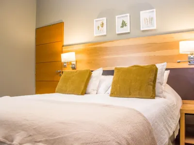 Cabañas 3 estrellas Los Robles Apart & Spa