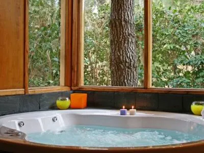 Cabins Doña Acacia Cabins