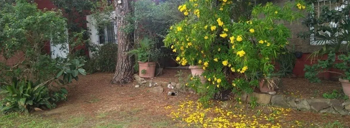 Apart Hoteles 1 estrella La Casa de los Pinos