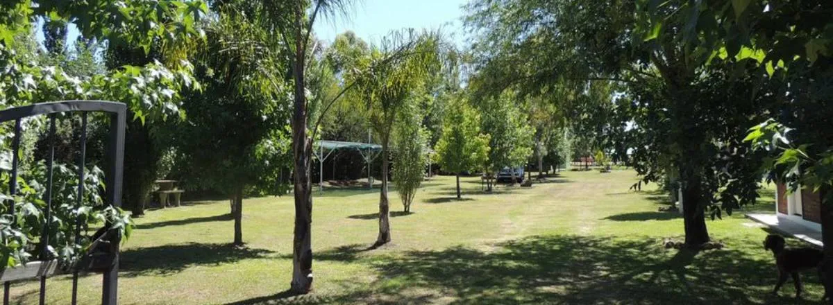 Bungalows 2 estrellas Don Blas 