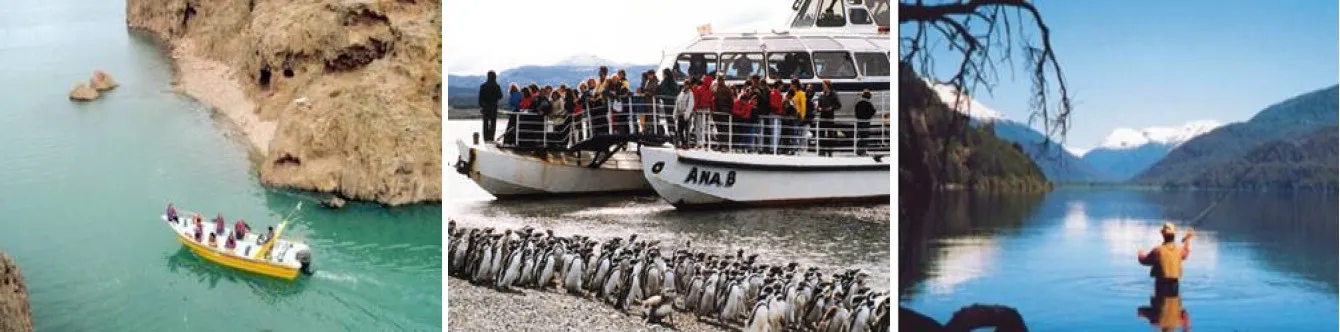 Travel and Tourist Agency Aonikenk