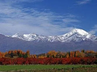 Vista Viajes y Turismo Agencias de viajes y turismo  en  Mendoza