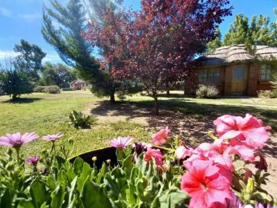 1-star Cabins Arco Iris