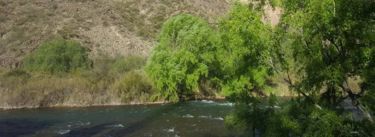 Cabañas Cerro Lindo