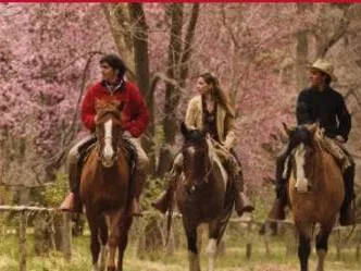 Wines Mendoza Horseback Riding Trips  in  Mendoza