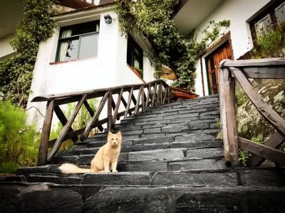 Panorama Hotels  in  La Cumbrecita