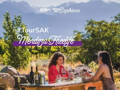 Tours de Bodegas Sak Wine & Travel