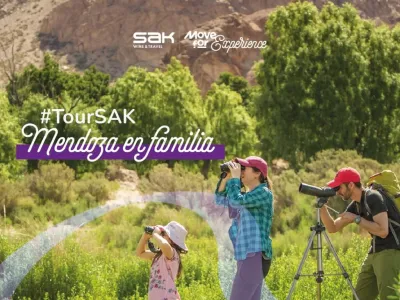 Tours de Bodegas Sak Wine & Travel