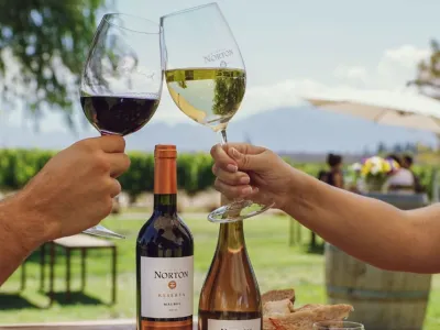 Tours de Bodegas Sak Wine & Travel