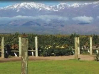 ExcursionesMendoza.com Wine Tours  in  Mendoza